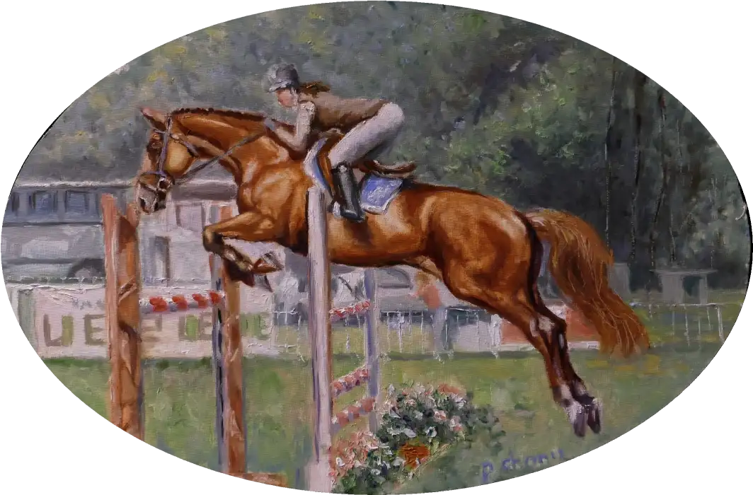 Saut d’obstacle (2)