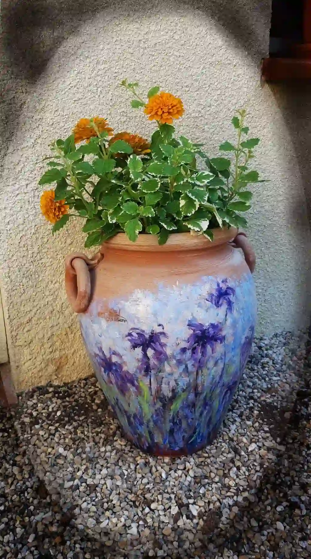 Sur la terre cuite, l'iris déploie ses ailes de velours, transformant le bleu du ciel et le violet de la nuit en une éternelle floraison de lumière.